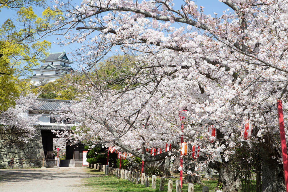 Castles of Toyotomi Hidenaga