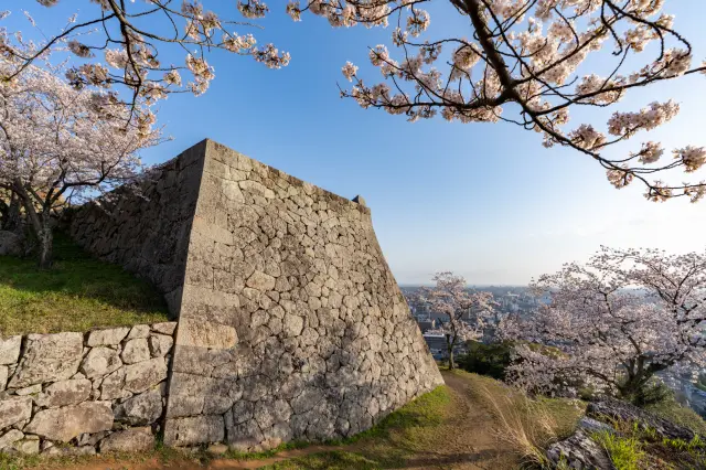 Hidden Stories in Stone: Exploring Japan’s Castle Walls